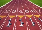 开云体育中国官网-赛场双星，日本队轻取波兰背后的战术智慧与许昕的巅峰时刻