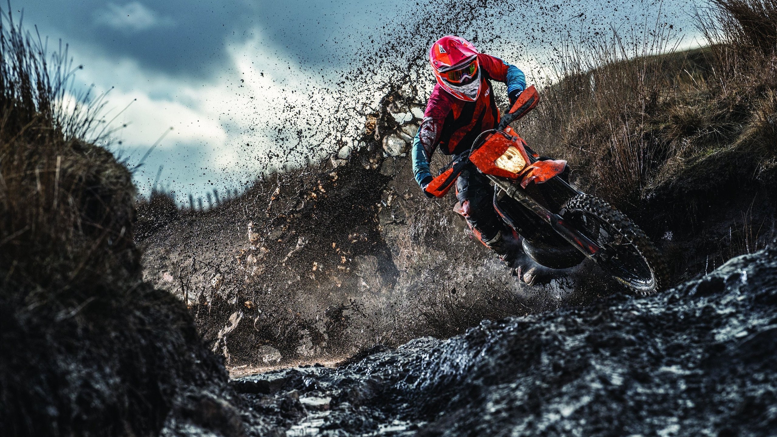 森林狼强势晋级勇士，哈利伯顿成为关键先生