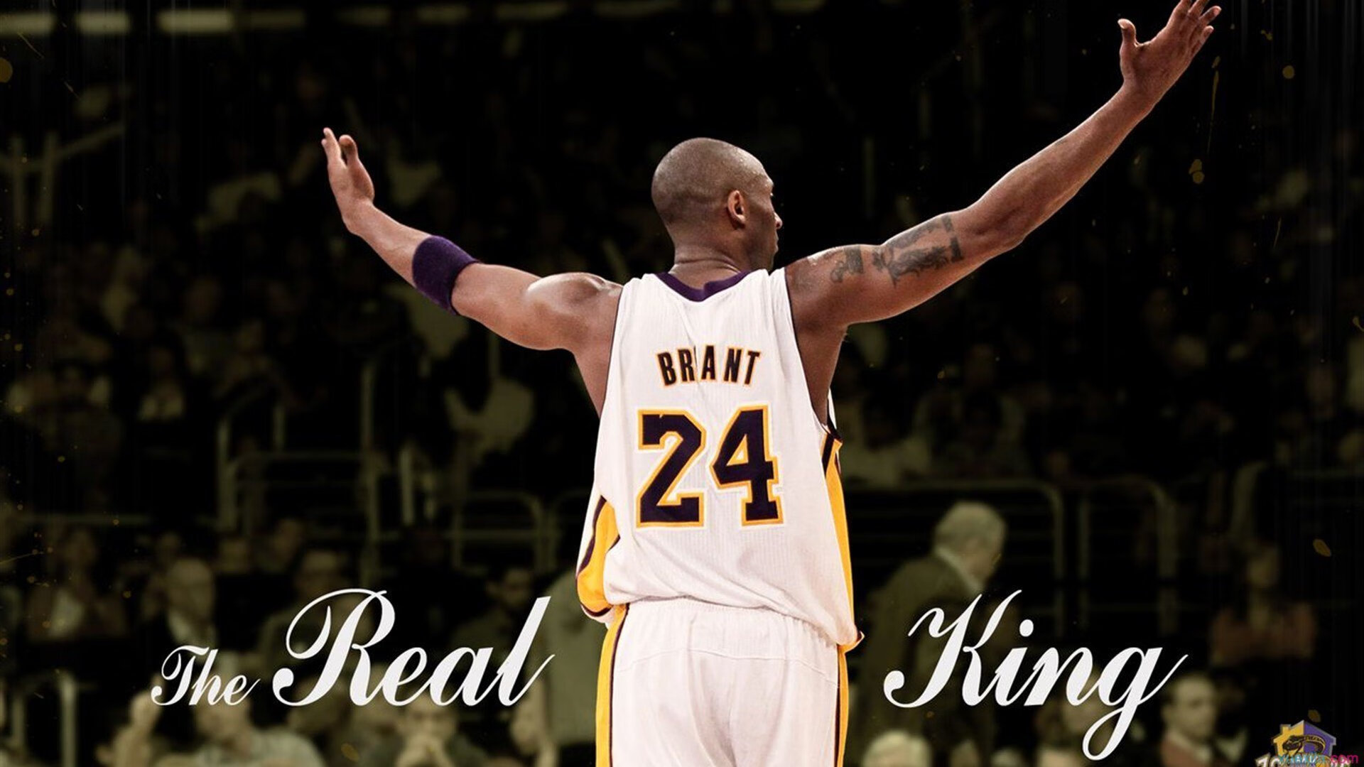 掘金横扫国王，福克斯如何从得分手蜕变为关键先生